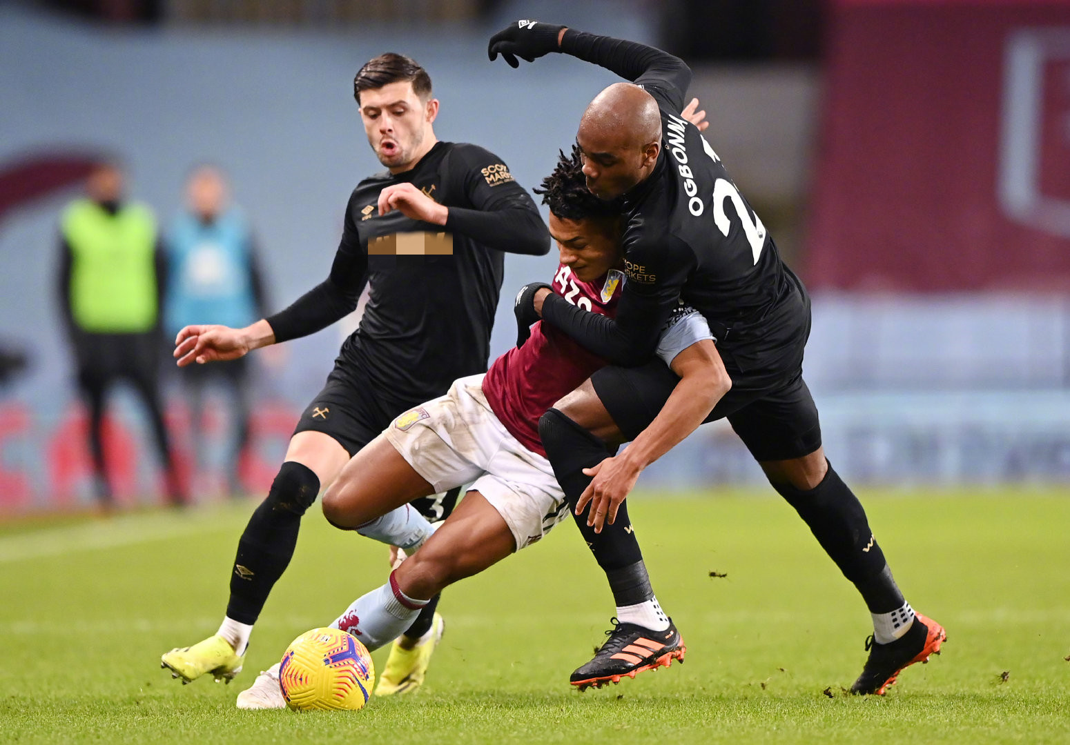 土耳其的鸡 土耳其的鸡