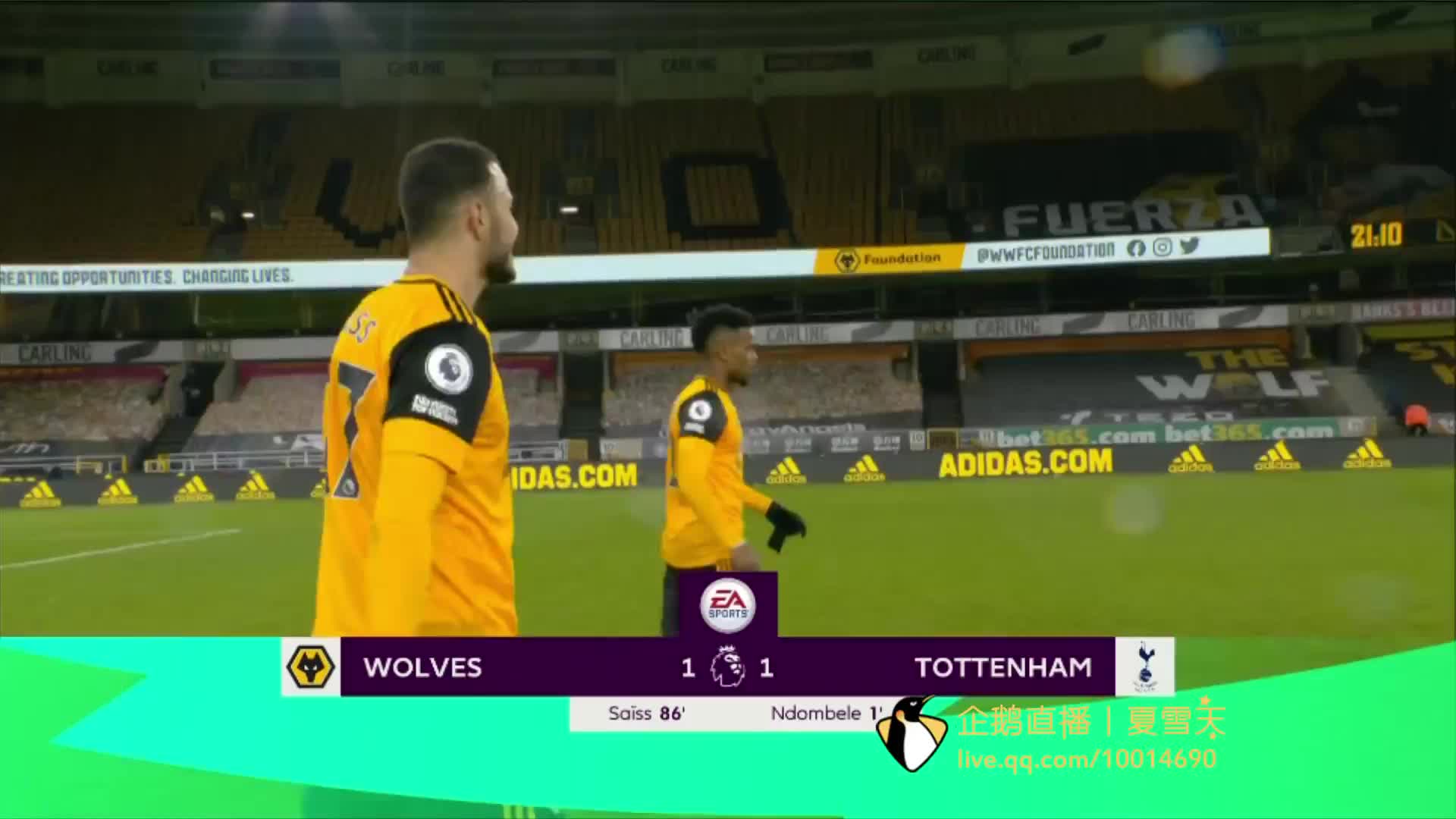 这些新面孔 这些新面孔